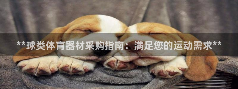 耀世娱乐联3.7.9.9.7 主管：**球类体育器材
