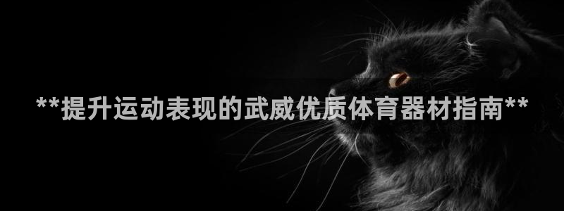 耀世幻主：**提升运动表现的武威优质体育器材指南**