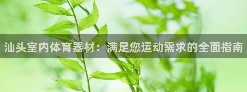 耀世集团员工福利待遇：汕头室内体育器材：满足您运动需