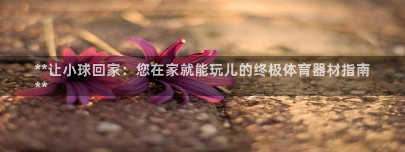 耀世平台拿什么输入账号密码呢：**让小球回家：您在家