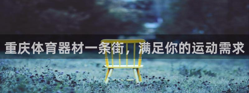 耀世平台开户流程：重庆体育器材一条街，满足你的运动需