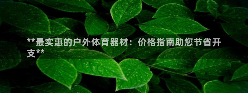 耀世平台官方网站：**最实惠的户外体育器材：价格指南