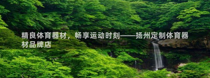 耀世娱乐客服：精良体育器材，畅享运动时刻——扬州定制