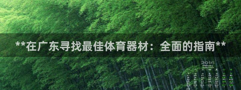 耀世娱乐提现失败怎么办：**在广东寻找最佳体育器材：
