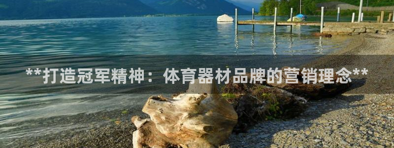四川耀世发展集团：**打造冠军精神：体育器材品牌的营
