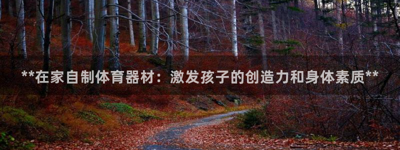 耀世集团四个字的图片：**在家自制体育器材：激发孩子