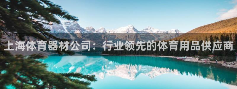 耀世娱乐在线登录官网入口下载：上海体育器材公司：行业