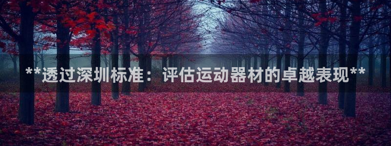 耀世集团视频直播：**透过深圳标准：评估运动器材的卓