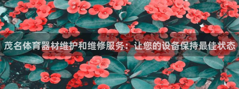 耀世集团员工福利待遇：茂名体育器材维护和维修服务：让