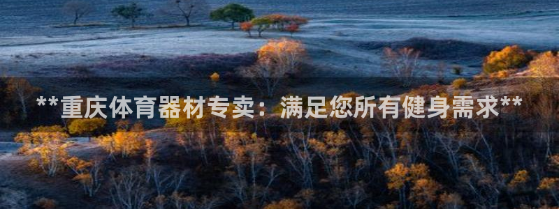 耀世天下图片：**重庆体育器材专卖：满足您所有健身需