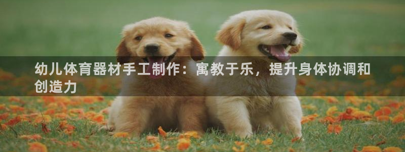 耀世娱乐价 411O31 耀世：幼儿体育器材手工制作