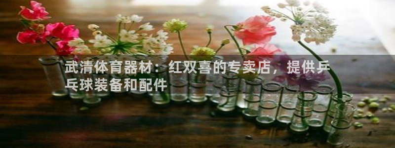 耀世平台登录地址是什么：武清体育器材：红双喜的专卖店
