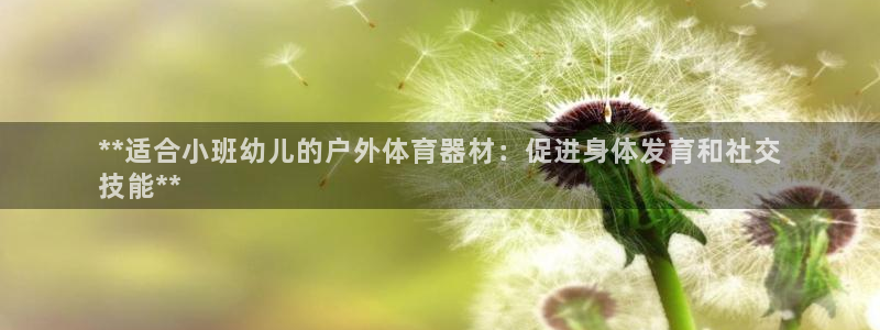 耀世娱乐注册入口官网：**适合小班幼儿的户外体育器材
