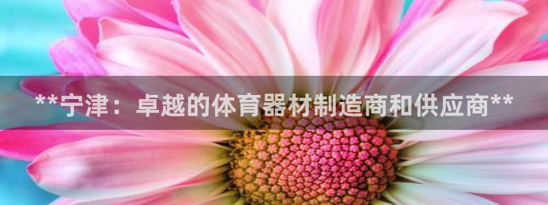 耀世登场后面一句：**宁津：卓越的体育器材制造商和供