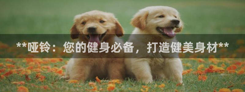 耀世娱乐平台官网登录不了怎么办：**哑铃：您的健身必