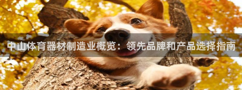 耀世娱乐在线登录官网入口手机版：中山体育器材制造业概