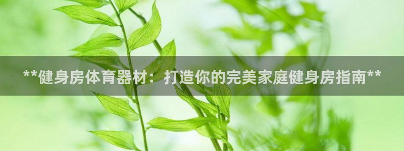 耀世娱乐提款多久到账啊：**健身房体育器材：打造你的