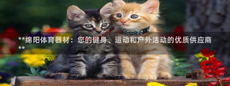 耀世娱乐平台官网登录不了了：**绵阳体育器材：您的健