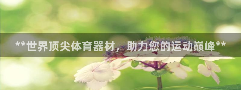 耀世娱乐登陆官网入口：**世界顶尖体育器材，助力您的