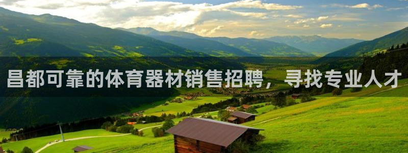 耀世娱乐是正规还是仿真：昌都可靠的体育器材销售招聘，
