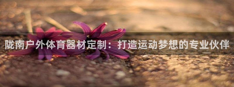 耀世娱乐官网首页登录不了：陇南户外体育器材定制：打造