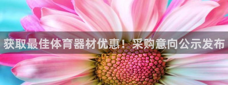 耀世汽车：获取最佳体育器材优惠！采购意向公示发布