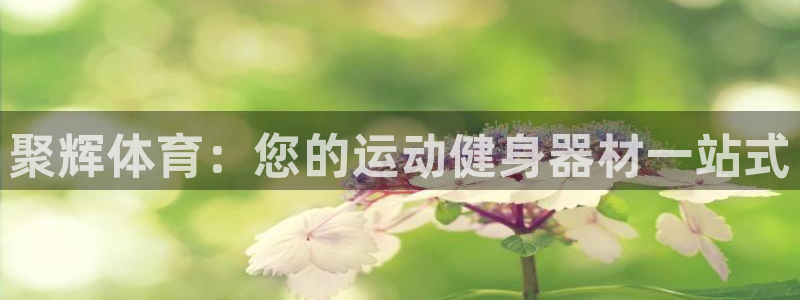 耀世挑战第三关怎么过：聚辉体育：您的运动健身器材一站