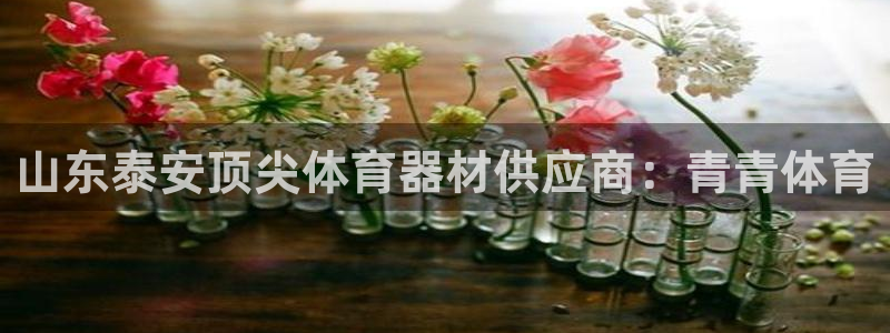 耀世金生产品介绍：山东泰安顶尖体育器材供应商：青青体