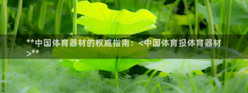耀世而来是什么意思：**中国体育器材的权威指南：<中