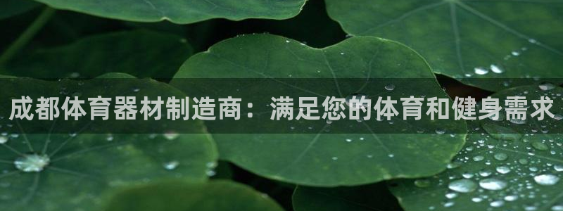 耀世登场：成都体育器材制造商：满足您的体育和健身需求
