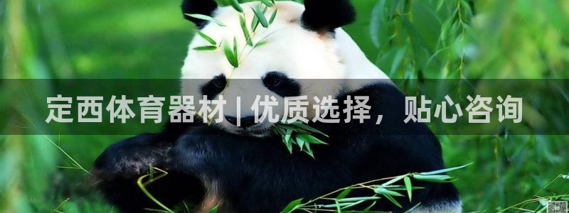 耀世娱乐平台官网登录不了怎么办：定西体育器材 | 优