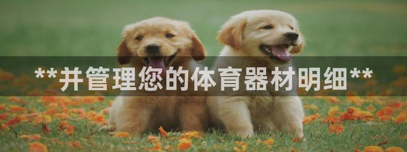 耀世娱乐科学：**并管理您的体育器材明细**