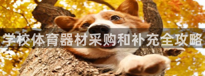 耀世集团商业联盟招聘：学校体育器材采购和补充全攻略