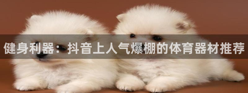 耀世娱乐总代理电话：健身利器：抖音上人气爆棚的体育器