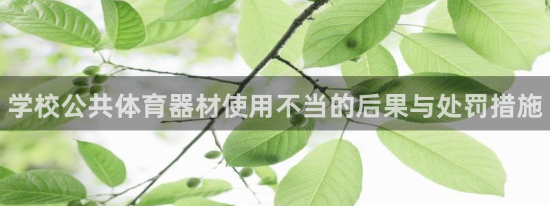 耀世集团董事长耀阳：学校公共体育器材使用不当的后果与
