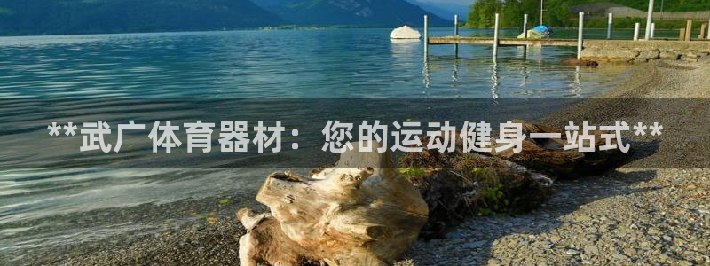 耀世娱乐圈主管：**武广体育器材：您的运动健身一站式
