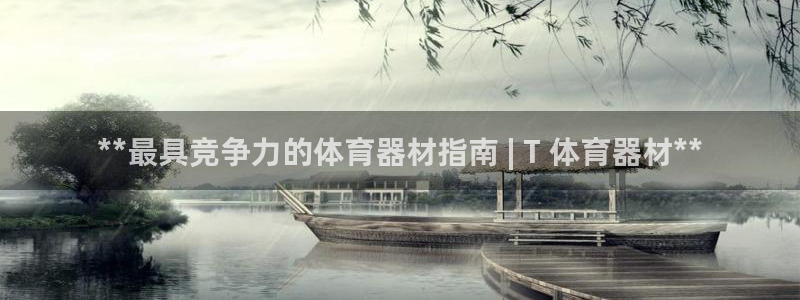 耀世平台代理多少钱一个：**最具竞争力的体育器材指南
