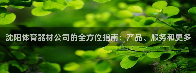 耀世意思：沈阳体育器材公司的全方位指南：产品、服务和
