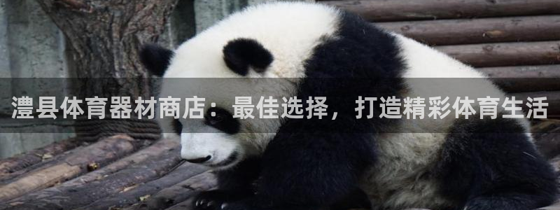 耀世平台负责人怎么样：澧县体育器材商店：最佳选择，打