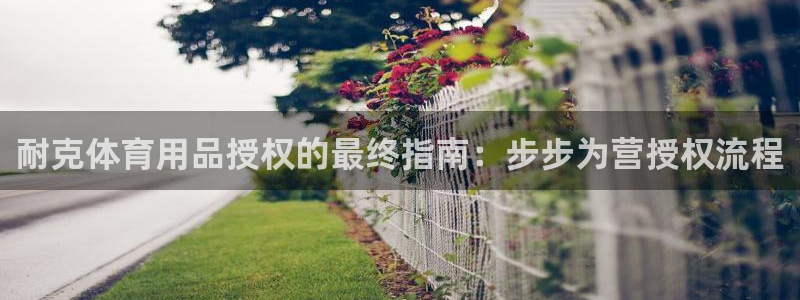 耀世国际平台正规吗安全吗可靠吗：耐克体育用品授权的最