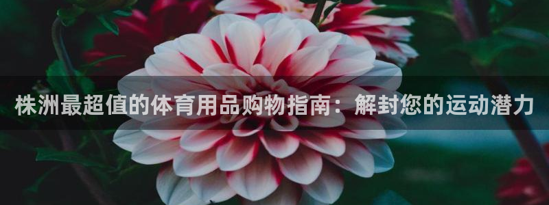 耀世娱乐黑钱吗知乎：株洲最超值的体育用品购物指南：解