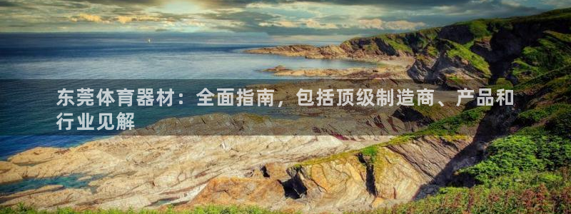 耀世登场的图片：东莞体育器材：全面指南，包括顶级制造