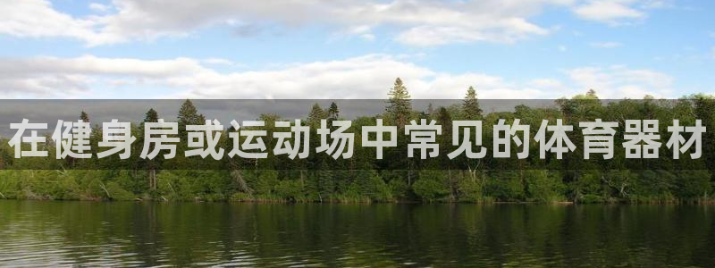 耀世娱乐是正规还是仿：在健身房或运动场中常见的体育器
