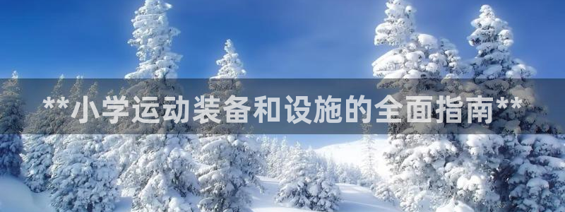耀世娱乐软件下载安装：**小学运动装备和设施的全面指