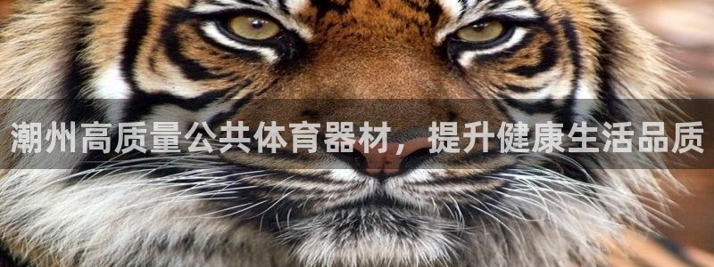 耀世娱乐挂机：潮州高质量公共体育器材，提升健康生活品
