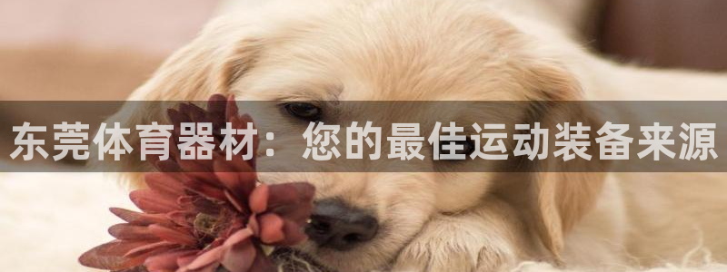 耀世平台告7O777：东莞体育器材：您的最佳运动装备