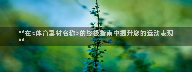 耀世娱乐注册资金多少：**在<体育器材名称>的终极指