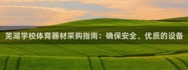 耀世平台有很多登录地址吗：芜湖学校体育器材采购指南：