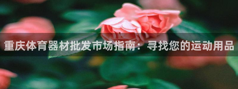 耀世娱乐能提现吗现在：重庆体育器材批发市场指南：寻找