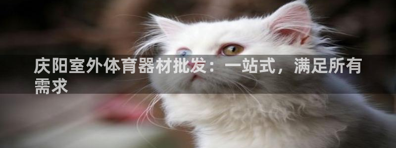 耀世平台梦 5O6917 平台：庆阳室外体育器材批发
